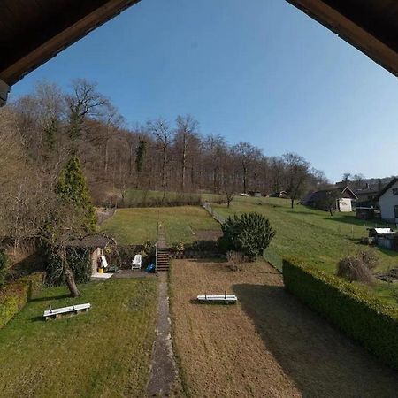 Ferienwohnung Am Waldrand Bad Driburg Eksteriør bilde